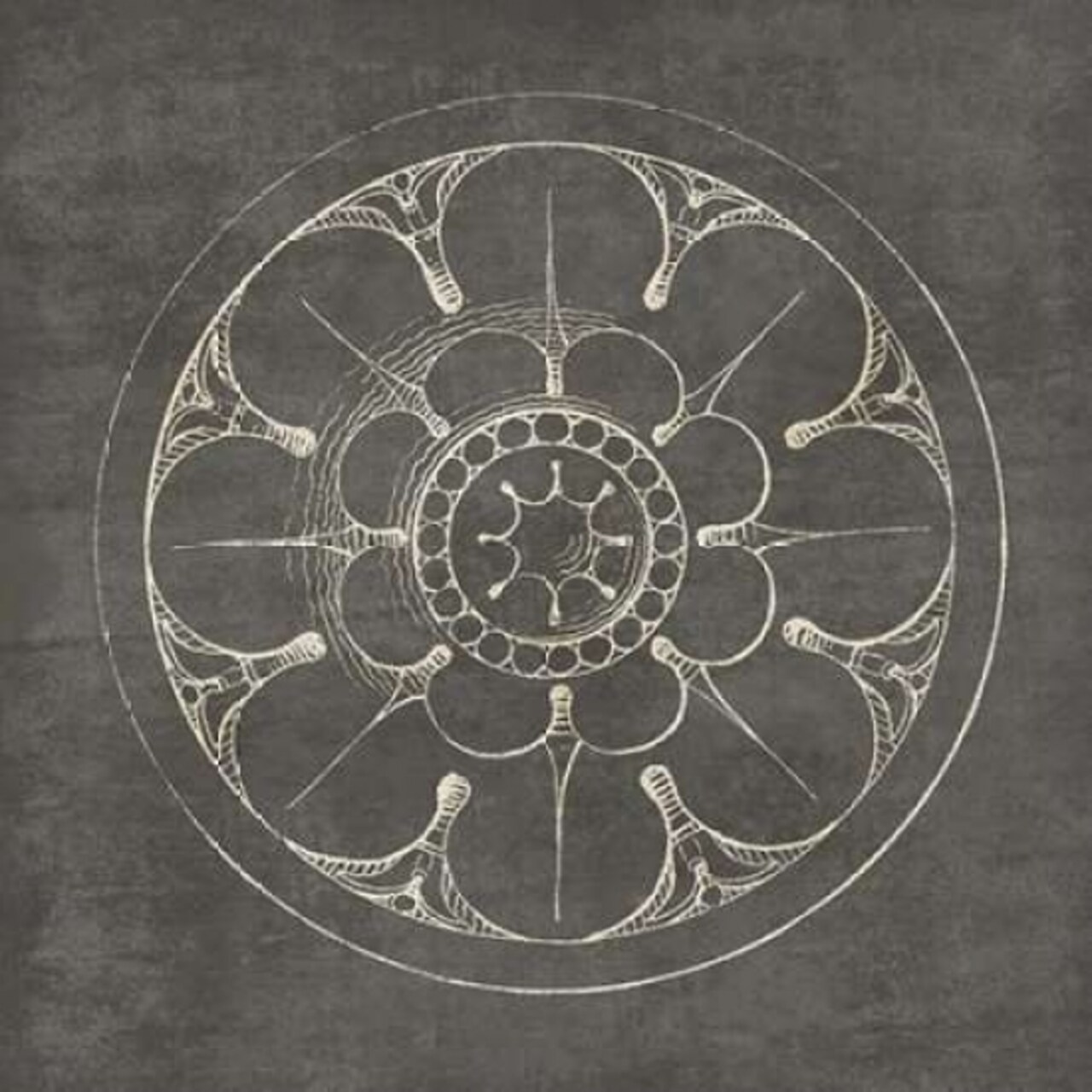 Rosette III Gray Poster Print by Wild Apple Portfolio - Item # VARPDX21575